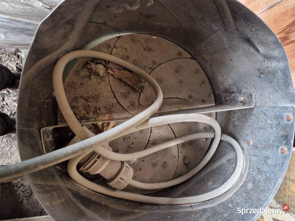 Szatkownica kapusty Pozostałe podlaskie Bielsk Podlaski