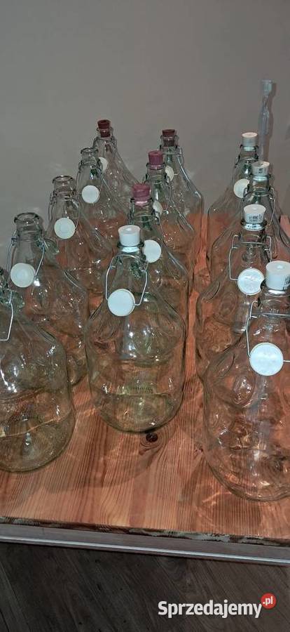 Gąsior 5l 13 sztuk Żagań