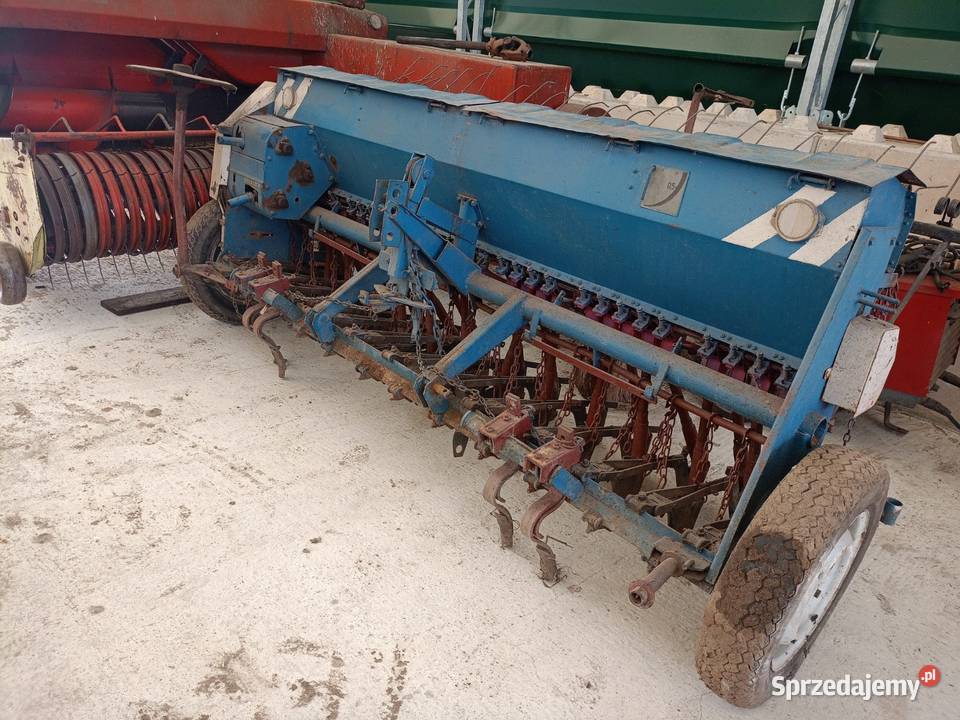 Siewnik Poznaniak sprzedam