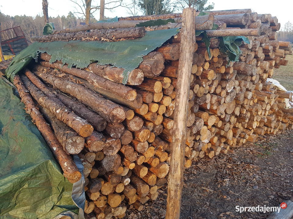 Stemple budowlane 240m 320m 4m i Opał Brzoza Milicz sprzedam
