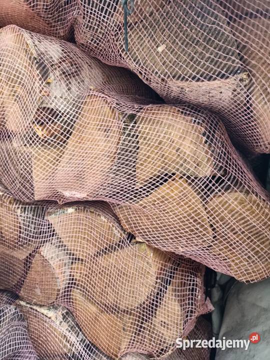 Drewno workowane do kominkana ognisko BRZOZA Jastrzębie-Zdrój