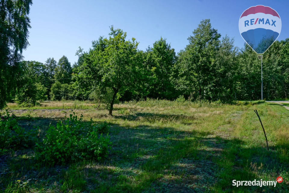 Działka budowlana 1002m2 Grądy k Żyrardowa 1002m2 mazowieckie