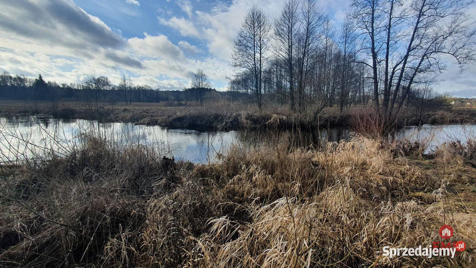Dom bliźniak Narewka 55m2