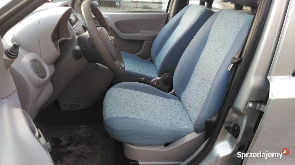fiat panda 11 Pszczyna