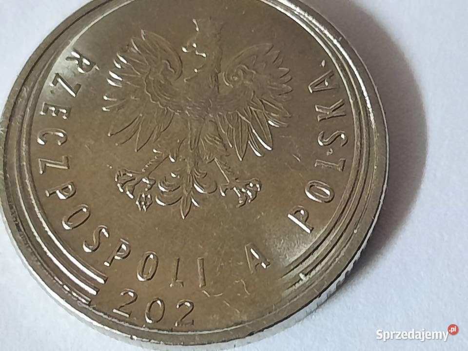 Destrukt 20 groszybrak cyfry w dacie 202 litery Poznań