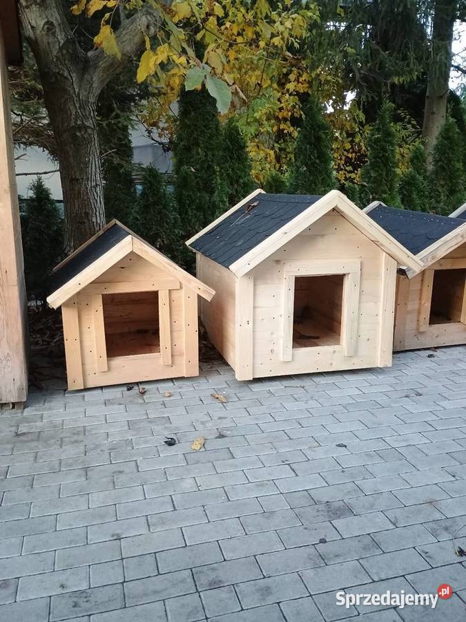 Budy psów małopolskie