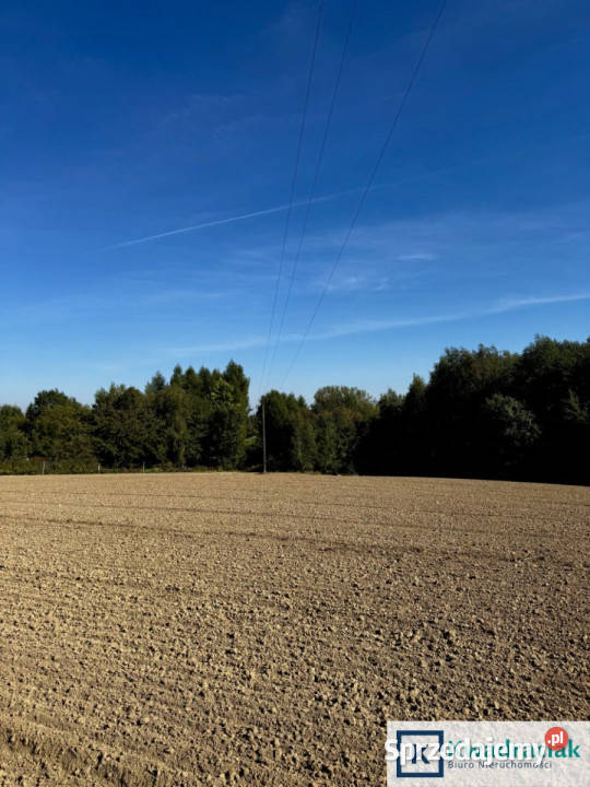 Działka 3000m2 Cierpisz podkarpackie