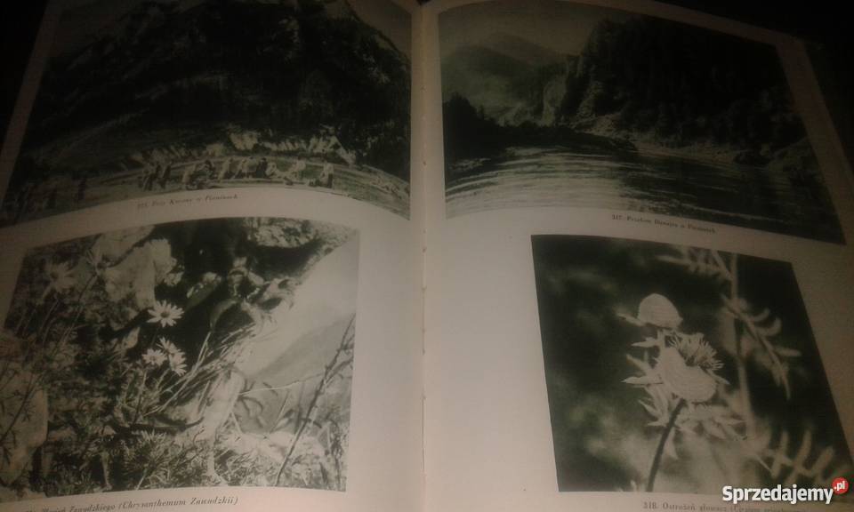 KRAJOBRAZY POLSKI STEFAN JAROSZ 1956R Rzeszów