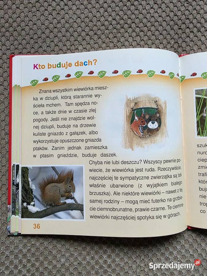 seria Zapytaj Misia o ZWIERZĘTA Kraków sprzedam