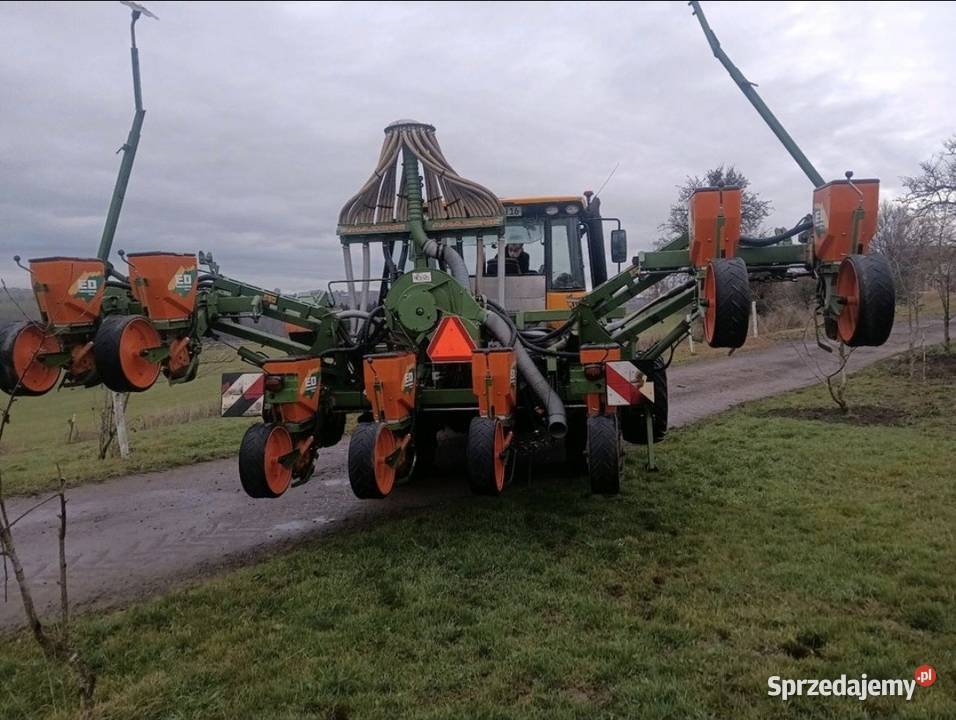 Siewnik do kukurydzy Amazone ED 601k 8 Sadłowo