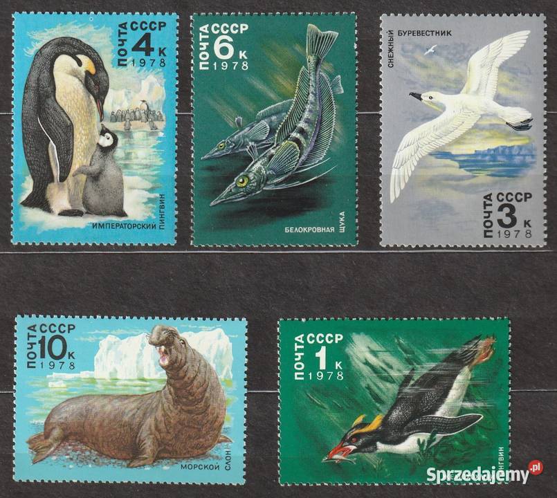 ROSJA ZSRR FAUNA MORSKA 1978 CZYSTE Łódź