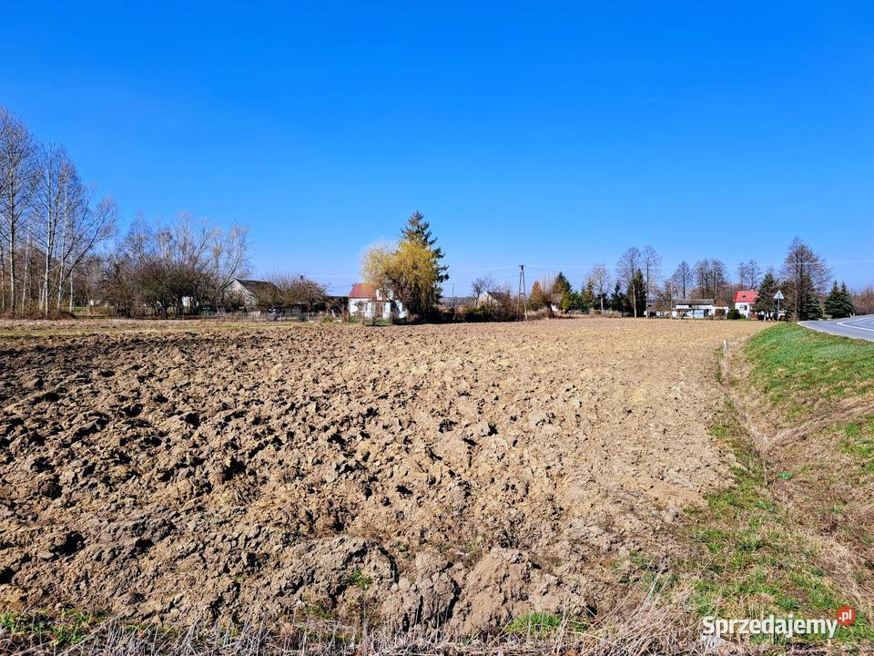 Działka budowlana 56 arów miejscowość Zabrnie