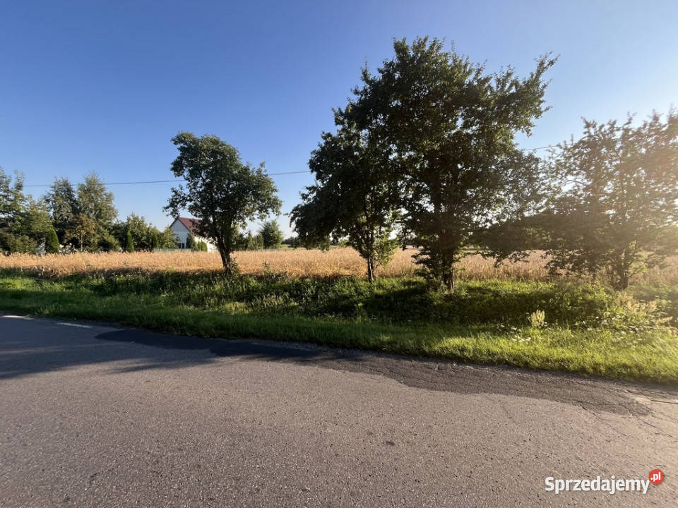 Dwie działki rolne z WZ w Helenowie gm Policzna Helenów