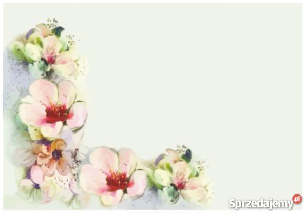 SUFITY NAPINANE
