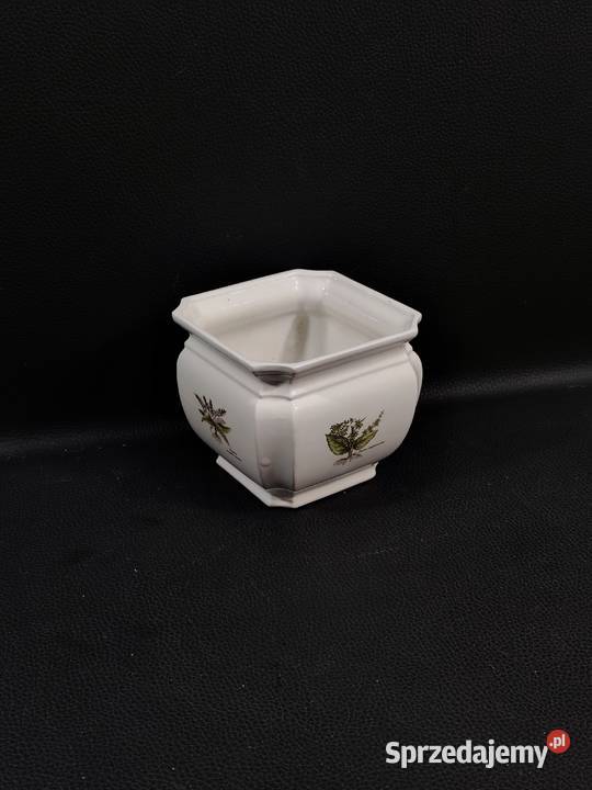 Unikatowa Osłonka Botaniczna Poole Pottery Seria Poddębice