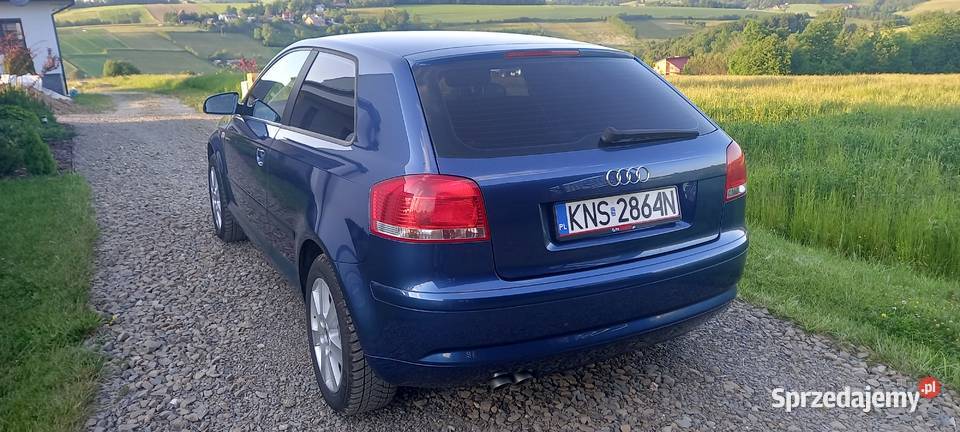 Audi a3 8p 20 tdi 140 270000km Korzenna