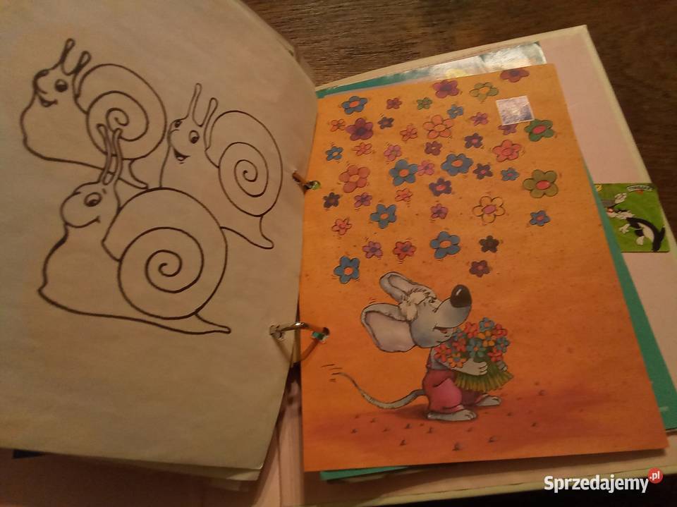 Segregator z karteczkami Disney Kubuś Puchatek Warszawa