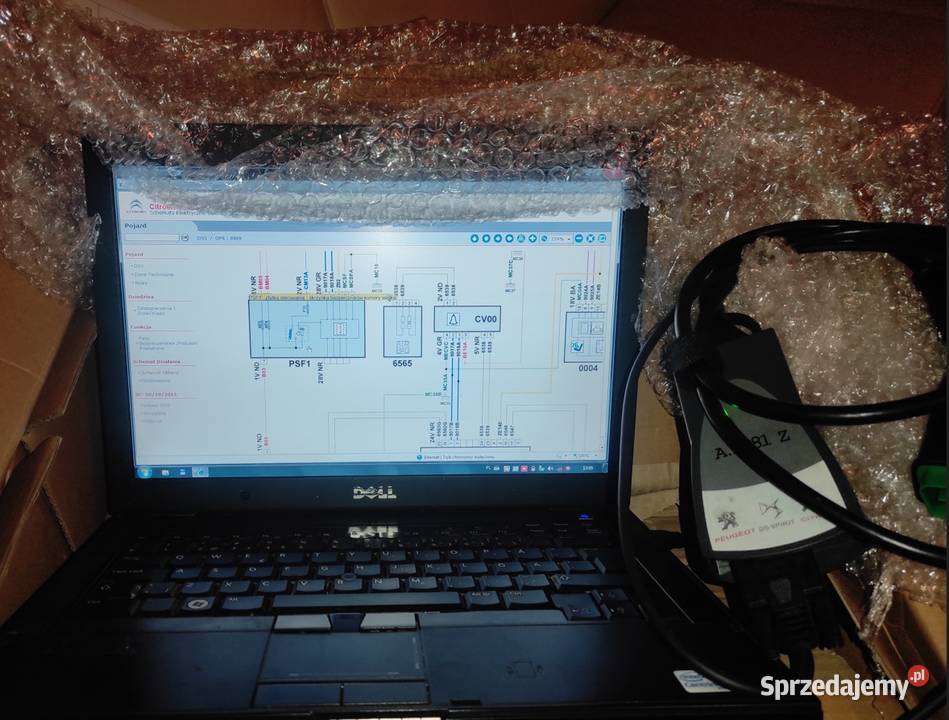Laptop PSA LEXIA Schem El Kat cz PSA Immo OFF Interfejsy diagnostyczne Stalowa Wola sprzedam