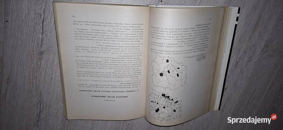 Ekonomika inwestycji drogowych wielkopolskie Łęczyca