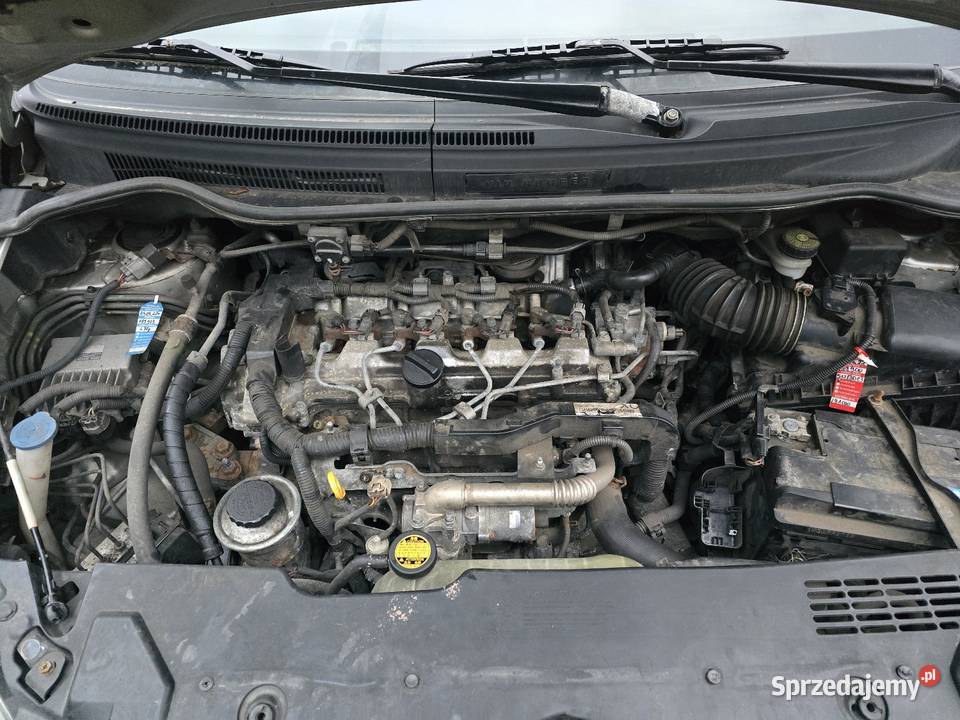 Toyota Corolla Verso 22 177 koni 2008 r I Orzech