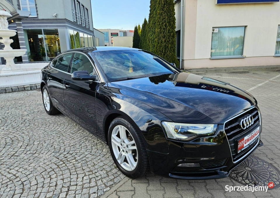 Audi A5 Sportback 1213r 177 Navi Zadbany Rata800 A5 Śrem sprzedam
