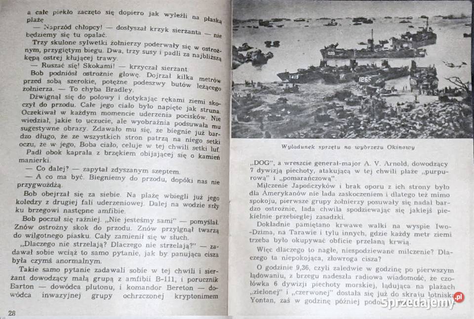 Okinawa Andrzej Perepeczko Pozostałe Chełm