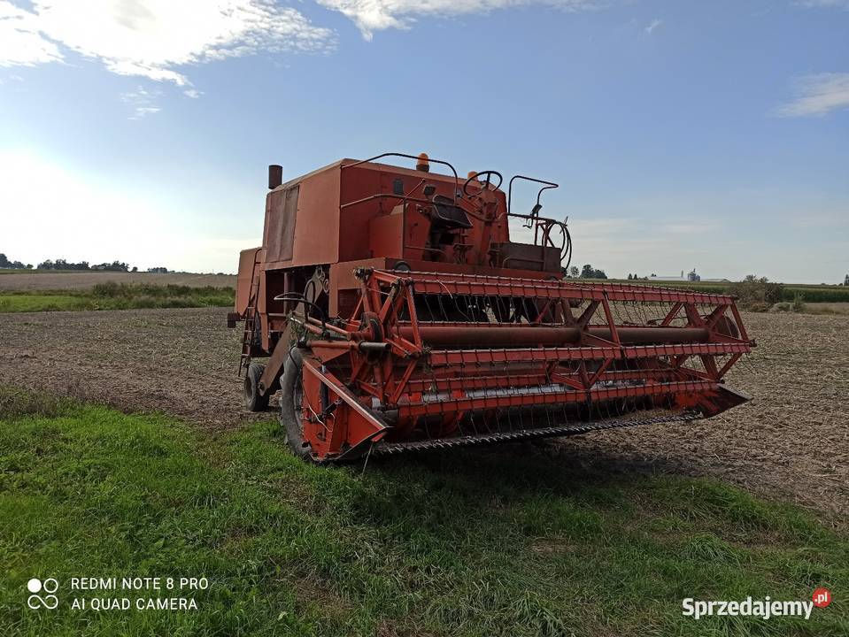 Bizon super Ciechanów