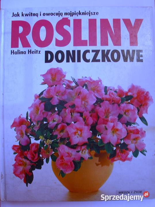 kwitną i owocują najpiękniejsze ROŚLINY sprzedam