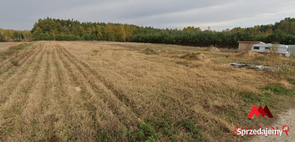 Ogłoszenie grunt Lipno 9180m2