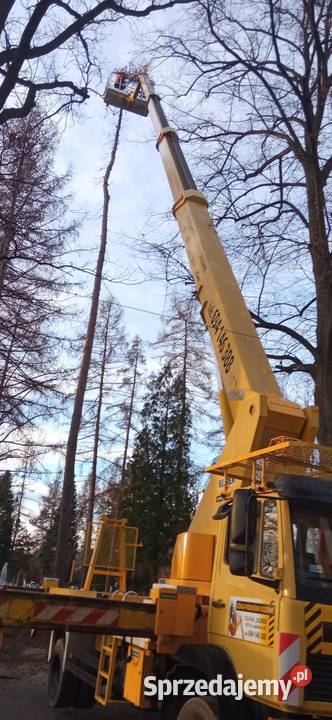 Podnośnik koszowy Wumag WT 350 Kęty