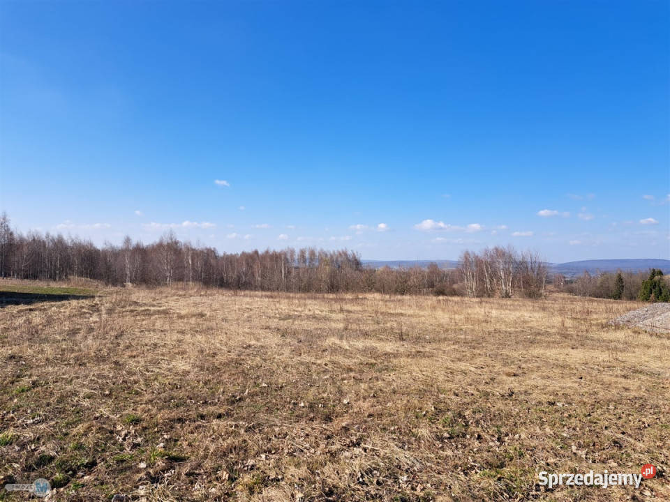 Działka Łagów 5974m2 Sprzedaż Nieruchomości sprzedam