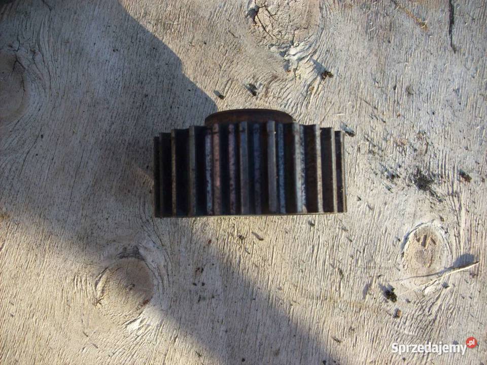 Passat B5 16 Kolo rozrzadu walu dolne 06A105263B mazowieckie Mińsk Mazowiecki