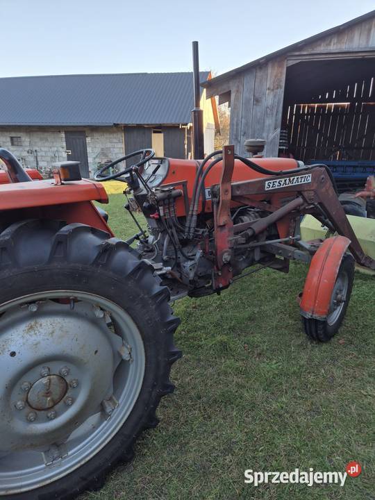 Massey Ferguson 255 mazowieckie Radom