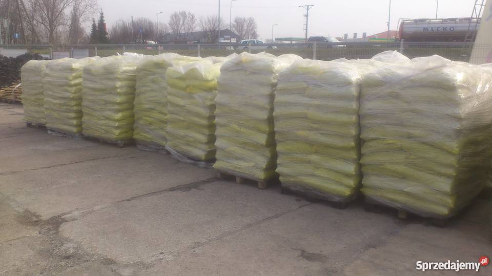 Ekogroszek Czeski workowany Stęszew