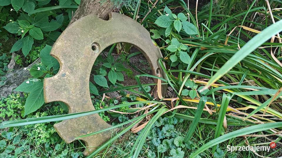 Obciążnik kół tylnich nieuszkodzony Brony