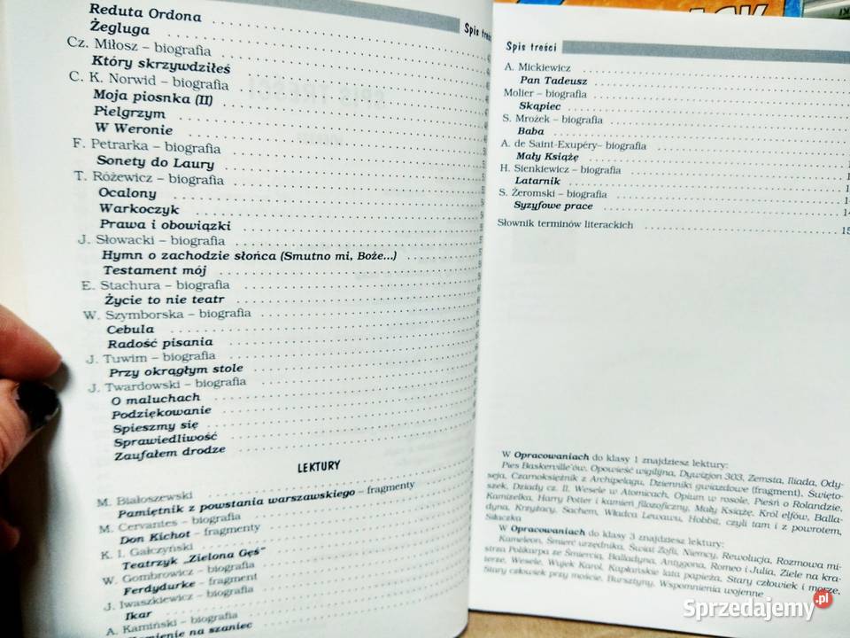 Opracowanie lektur szkolnych 2 gimnazjum polski Antyki, Sztuka, Kolekcje Warszawa