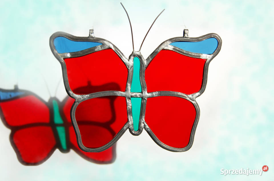 Motyl witraż lubelskie Lublin