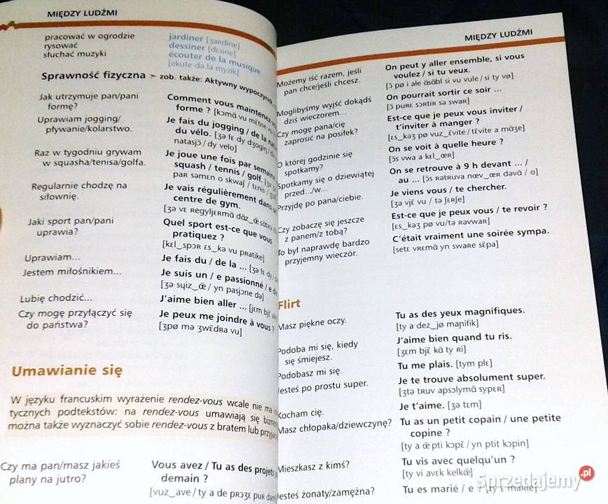 Rozmówki francuskie Rozmówki ze słownikiem PONS lubelskie Chełm sprzedam