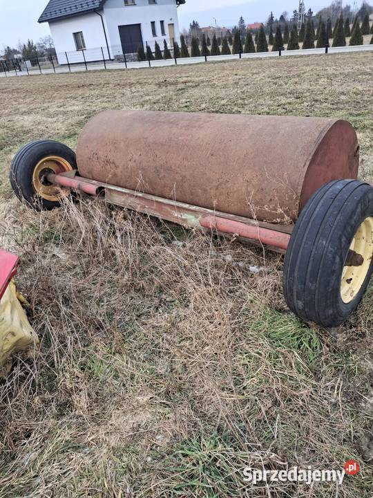 Wal łąkowy wymiary na zdjeciach nieuszkodzony łódzkie