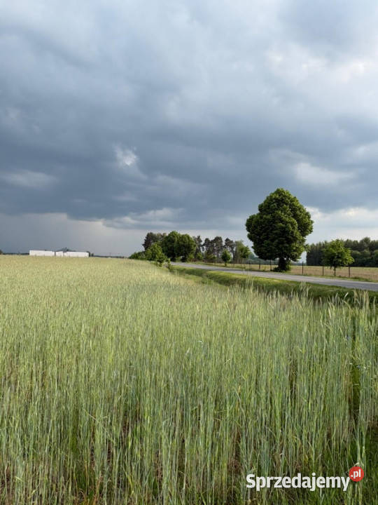 Sprzedam działkę budowlaną 1760m Kownaty gm mazowieckie