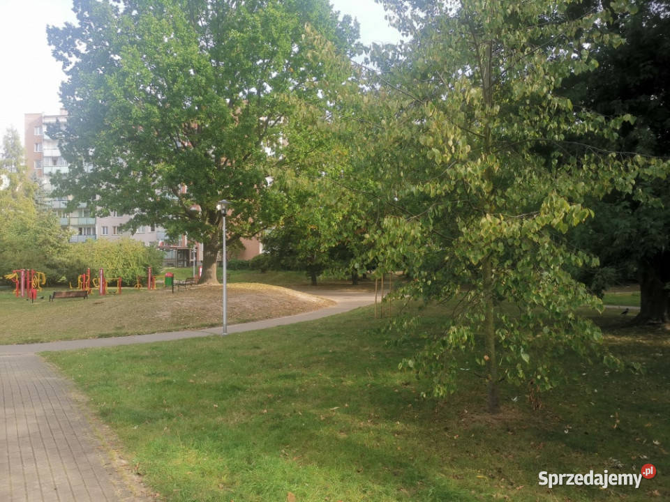 Mieszkanie 2pokojowe 46m2 Bielany 3 piętra i więcej Warszawa