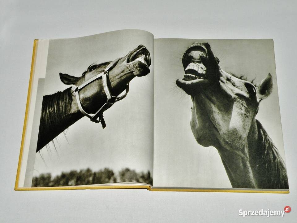 Konie Marian Gadzalski album WSiT 1978 album, atlas Bydgoszcz