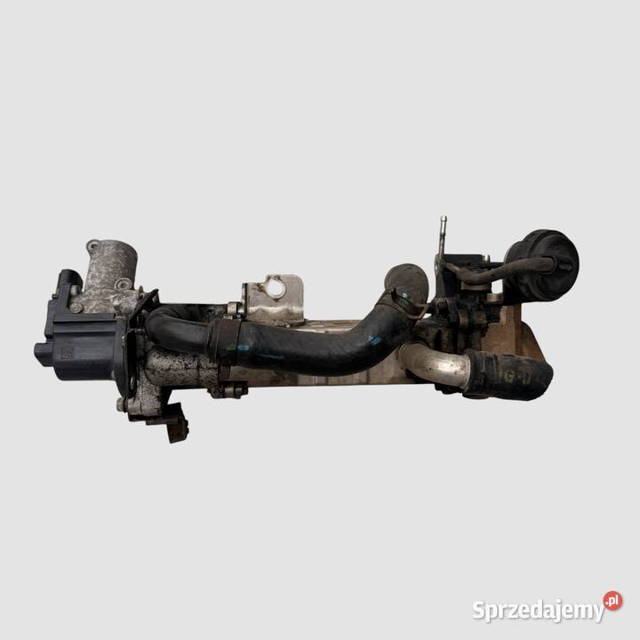 Zawór EGR 284102A850 Chłodnica spalin Kia