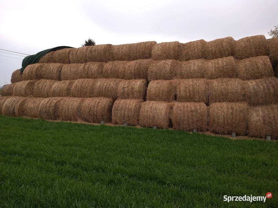 Slomę sprzedam