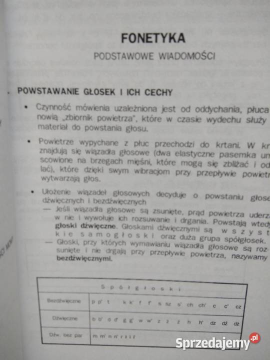 Gramatyka i stylistyka Warszawa