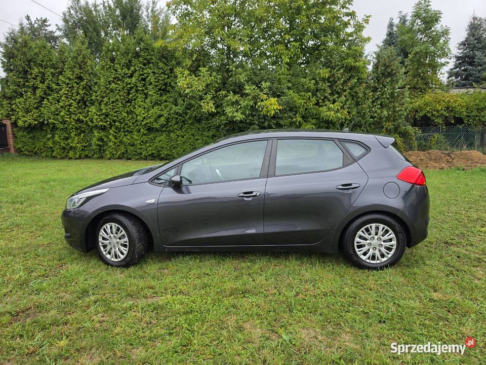 Kia CEED 14 benzyna KLIMA Ładny 1400cm3 Rzeszów sprzedam