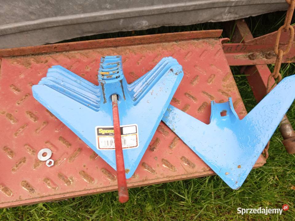 redliczki gęsiostopki rajki Lamken oryginalne mazowieckie Zwoleń