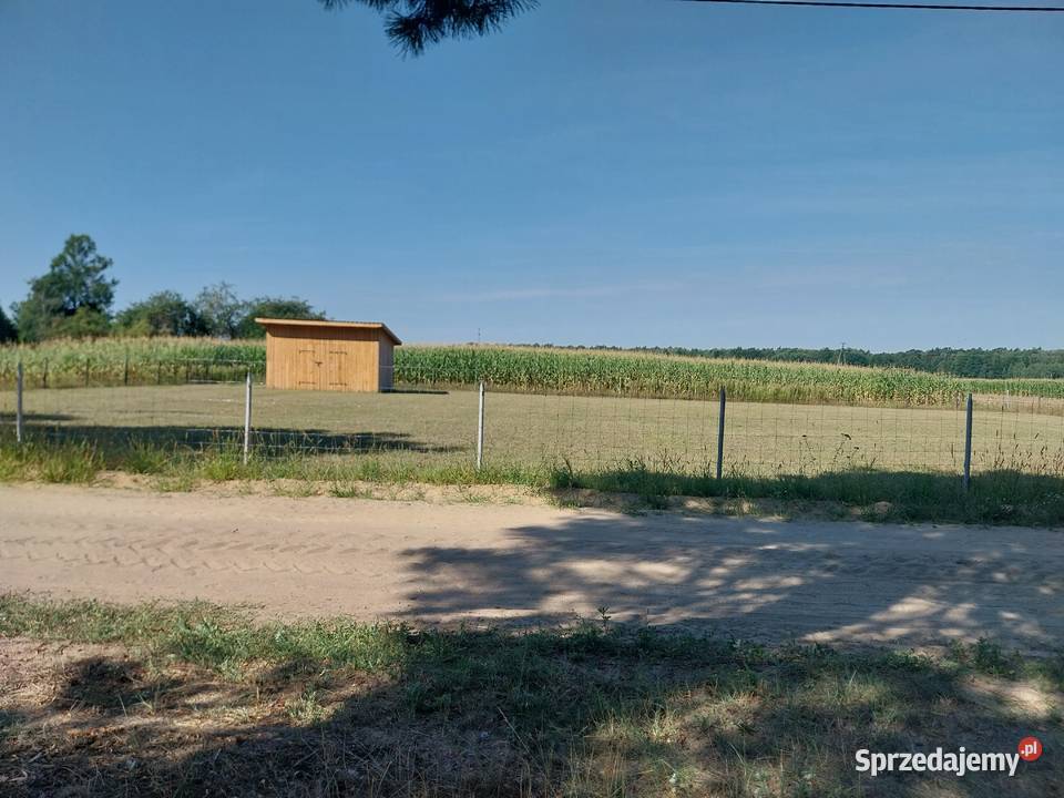 Działka budowlana 13a mazowieckie Miedzna