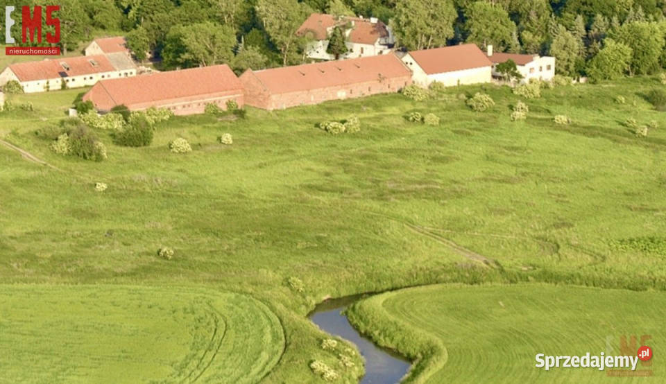 sprzedaży domu wolnostojącego Korsze 110000m2 warmińsko-mazurskie