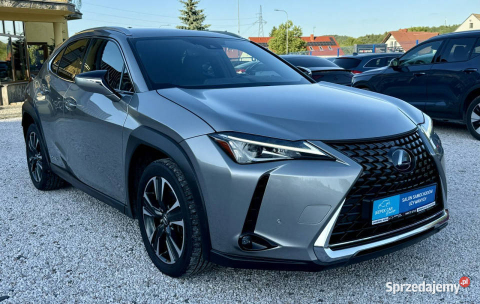 Lexus UX 250hHybrydaGwarancja gniazdo USB Kamienna Góra sprzedam